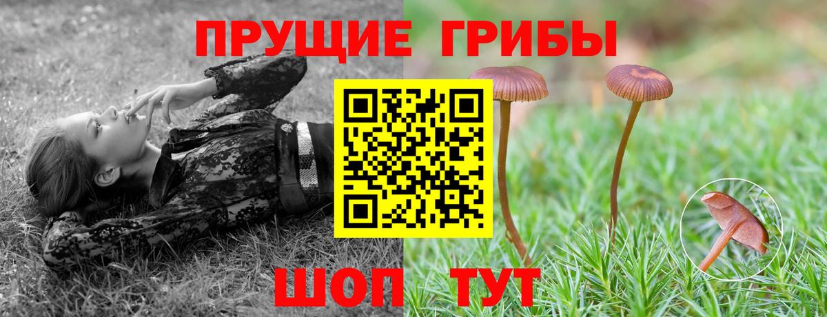 Псилоцибиновые грибы Magic Shrooms Лесосибирск